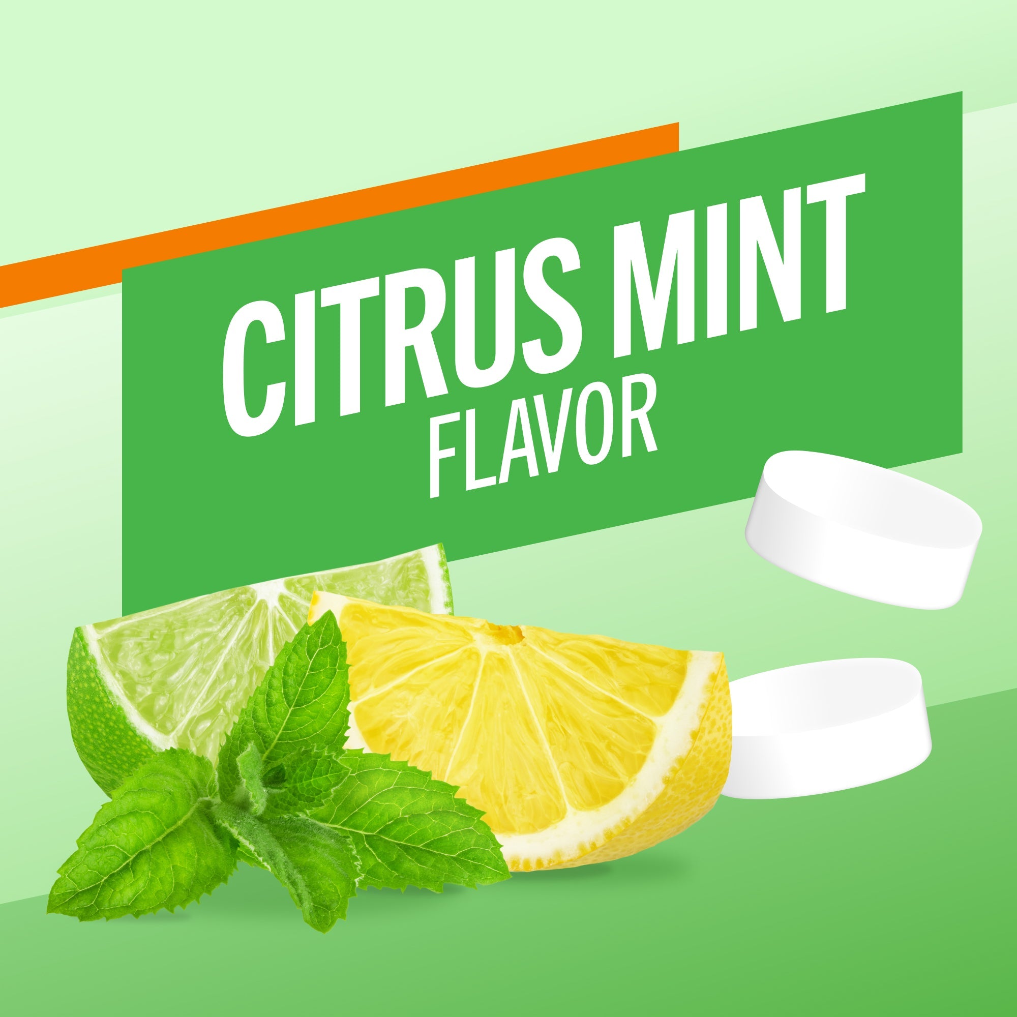 Fresh Breath Chewing Gum, Citrus Mint Flavor – 10 Count (Pack of 6)