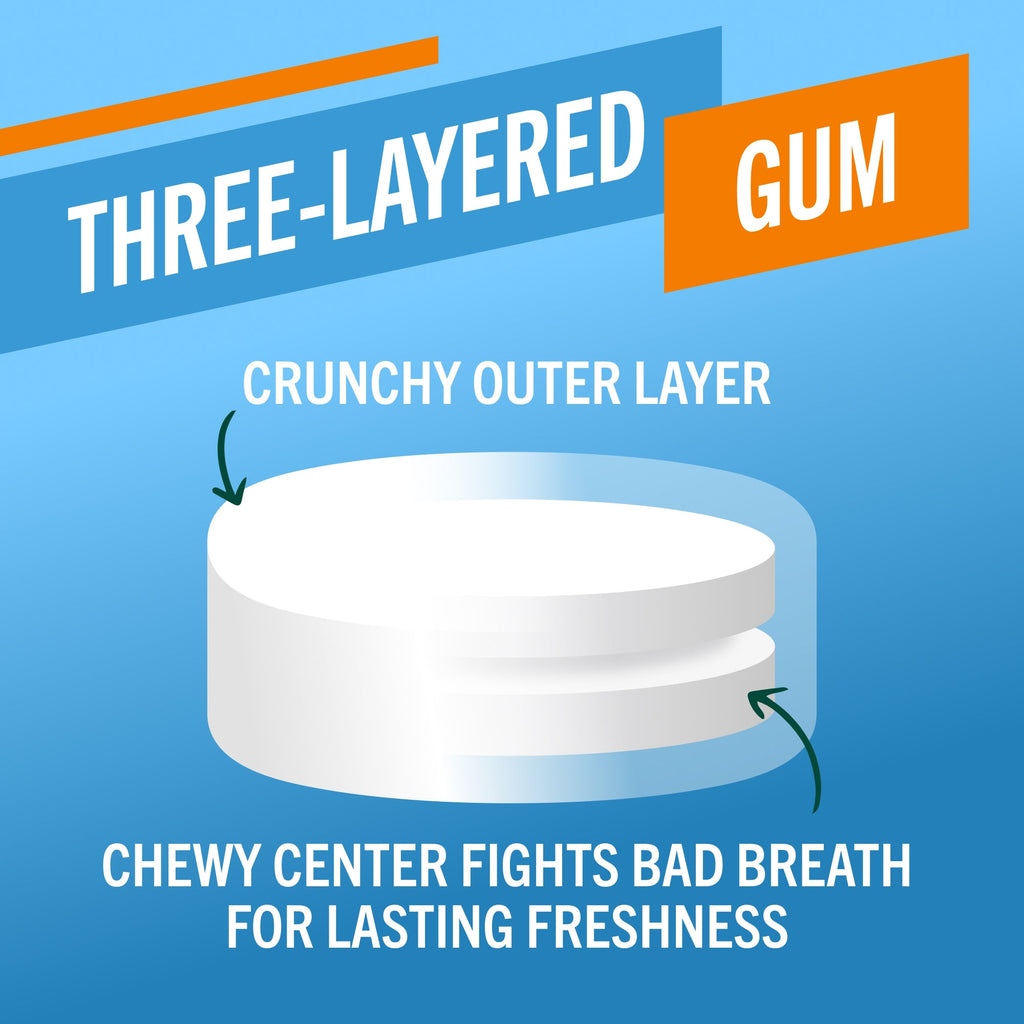 Chewing Gum, Invigorating Icy Mint Flavor – 8 Count (Pack of 9)