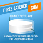 Chewing Gum, Invigorating Icy Mint Flavor – 8 Count (Pack of 3)