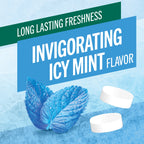 Chewing Gum, Invigorating Icy Mint Flavor