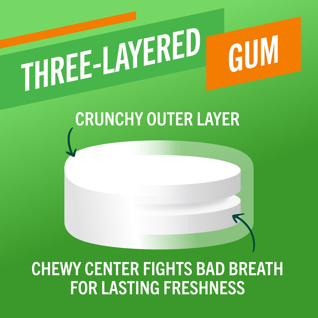 Fresh Breath Chewing Gum, Citrus Mint Flavor – 10 Count (Pack of 6)