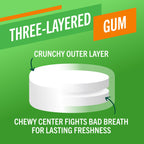 Fresh Breath Chewing Gum, Citrus Mint Flavor – 10 Count (Pack of 6)