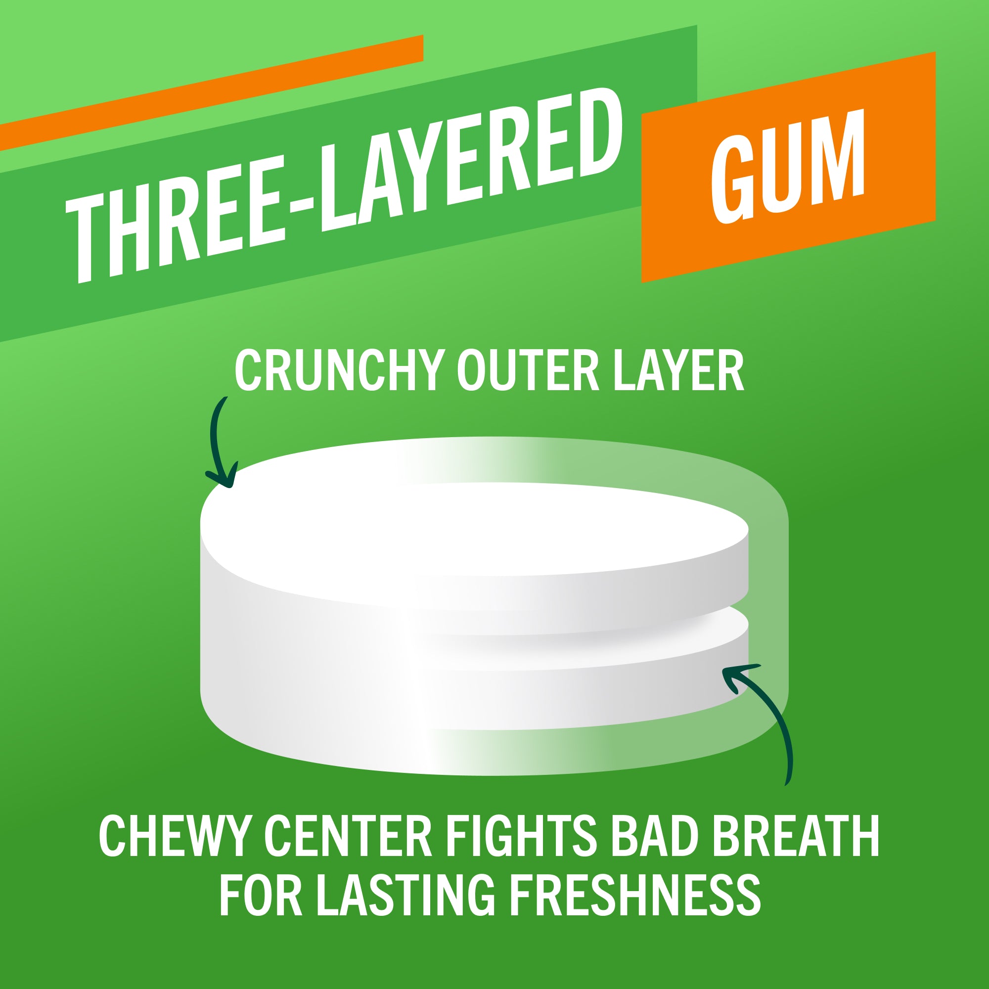 Fresh Breath Chewing Gum, Citrus Mint Flavor – 10 Count (Pack of 6)